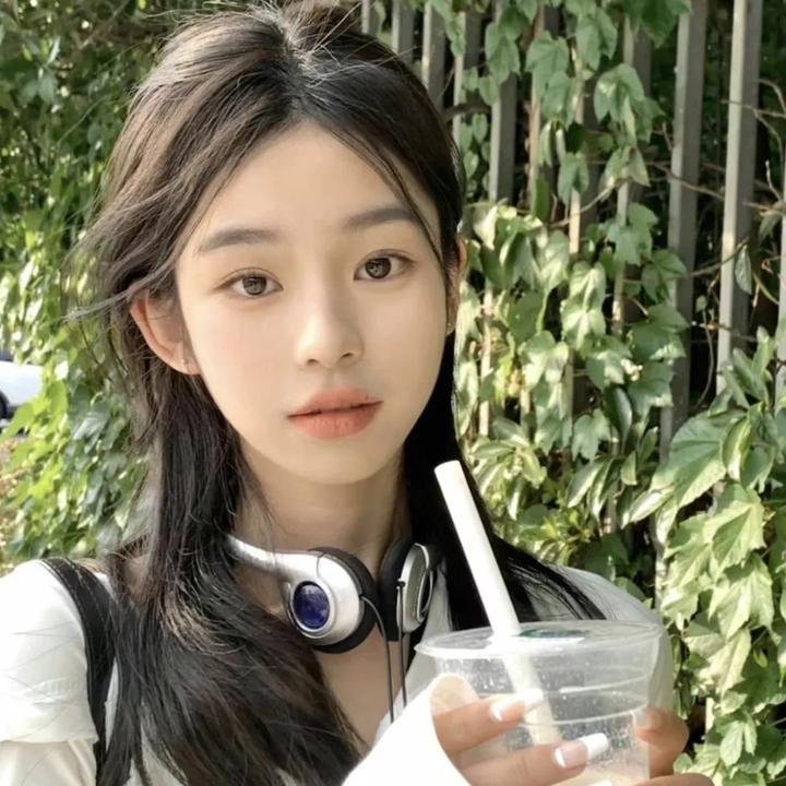 智叻狗仔队